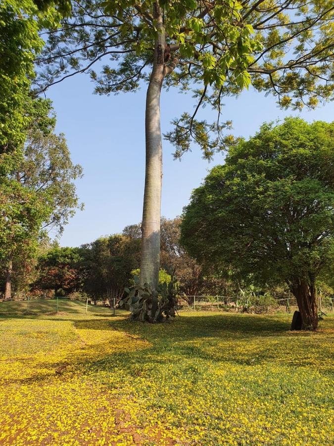 شقة Fazenda Santa Clementina أراراس المظهر الخارجي الصورة