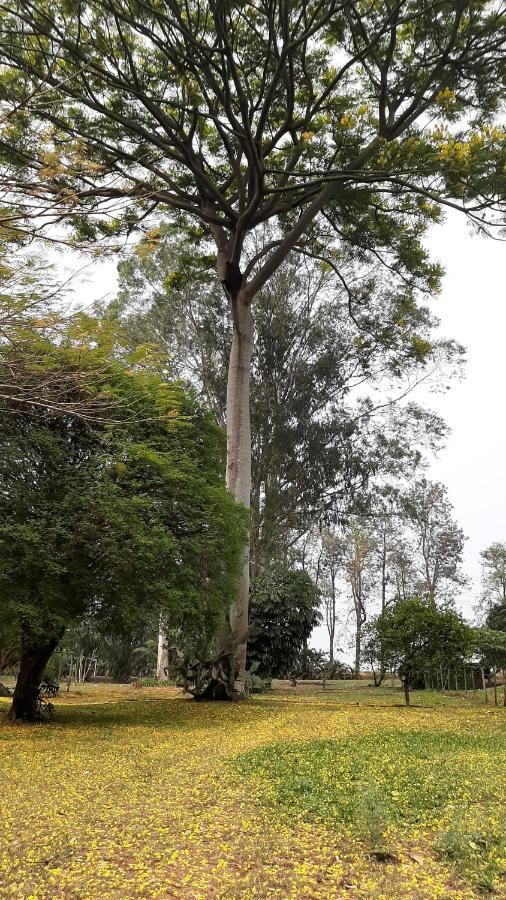 شقة Fazenda Santa Clementina أراراس المظهر الخارجي الصورة